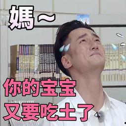 吃瓜娱乐图片表情包,吃瓜表情包带你领略欢乐时光