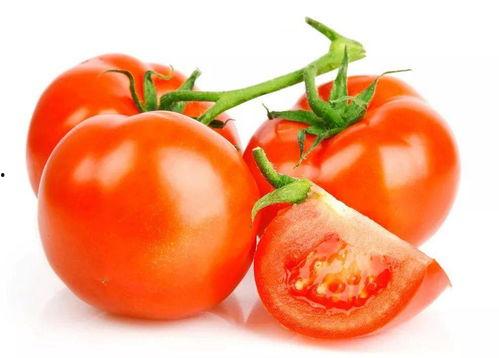 番茄娱乐圈吃瓜读心